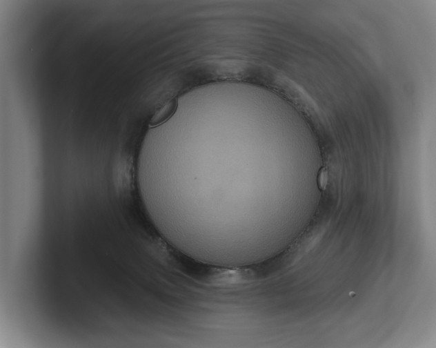 X0000102400083200808081313