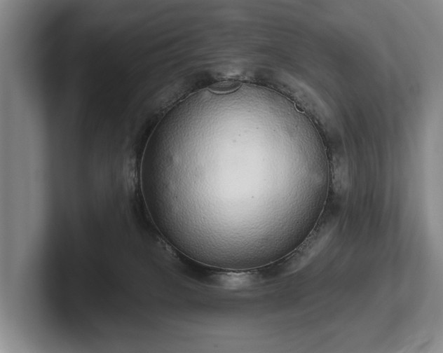 X0000102400085200808081313