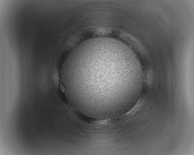 X0000102400086200808081313