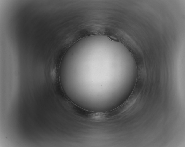 X0000102400088200808081313