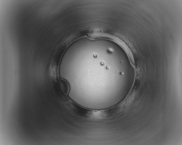 X0000102400093200808081313