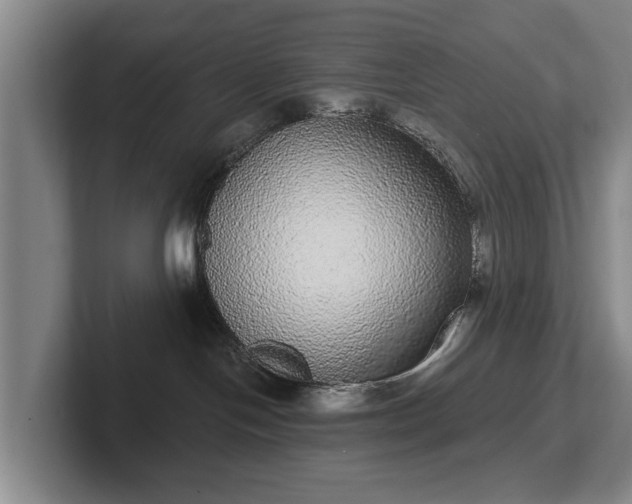 X0000102400094200808081313