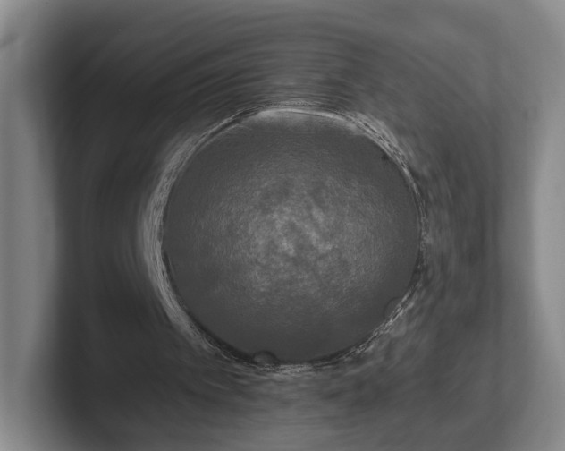 X0000102400097200808081312