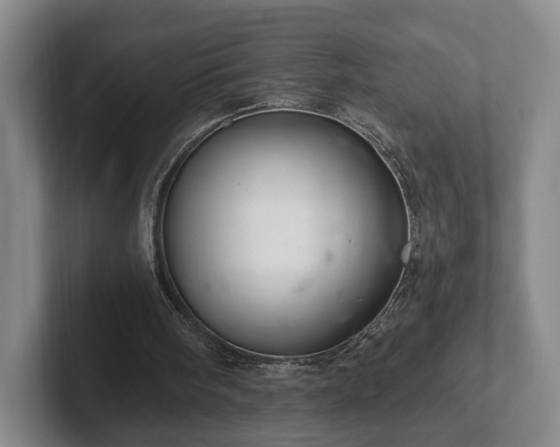 X0000102400098200808081312