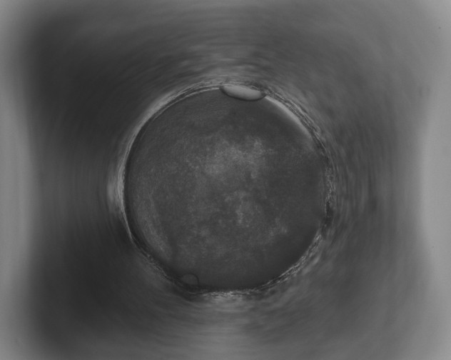 X0000102400100200808081312