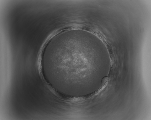 X0000102400101200808081312