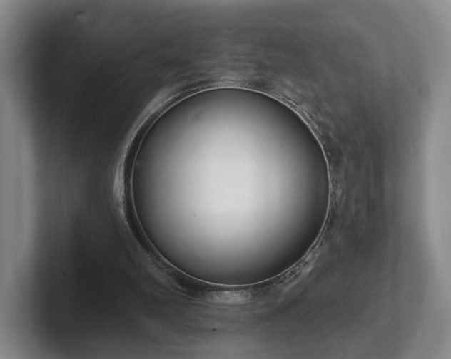 X0000102400102200808081312