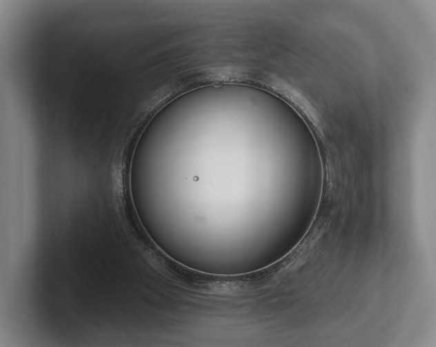 X0000102400105200808081312