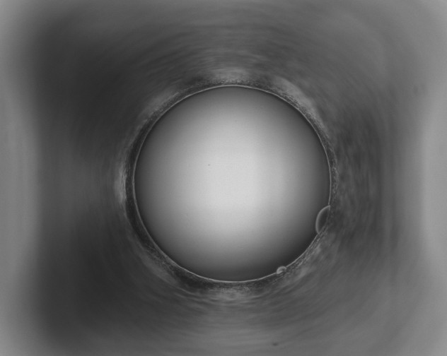 X0000102400106200808081312