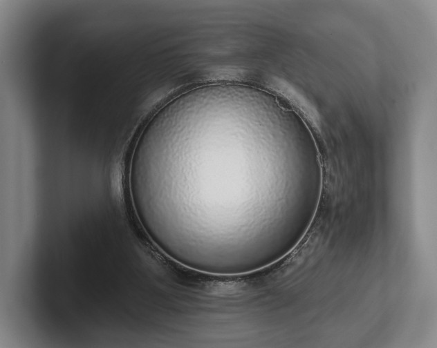 X0000102400107200808081312