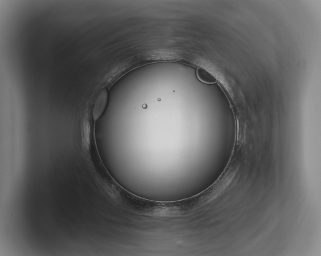 X0000102400109200808081312