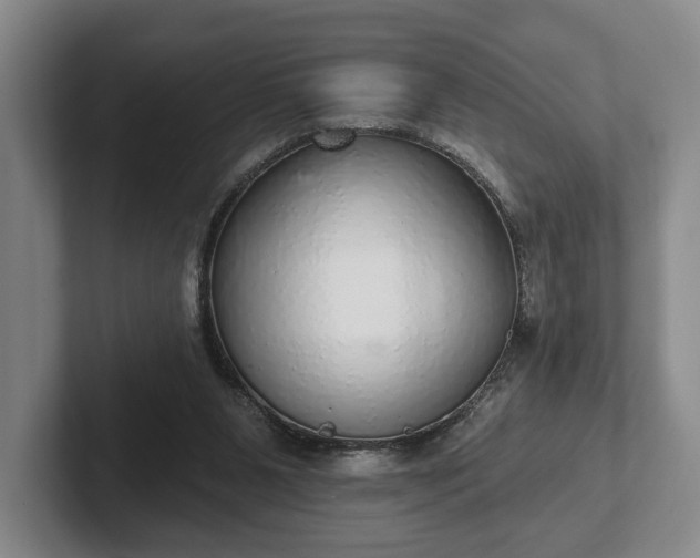 X0000102400111200808081312