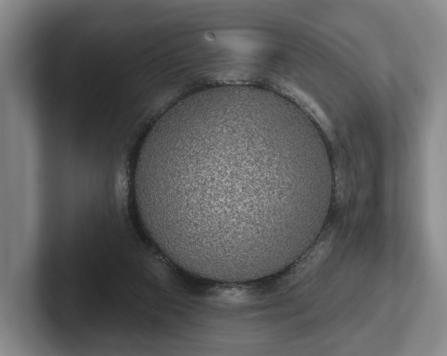 X0000102400113200808081312