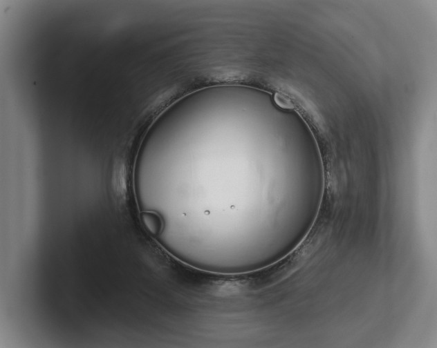 X0000102400115200808081312