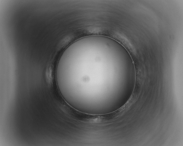 X0000102400116200808081312