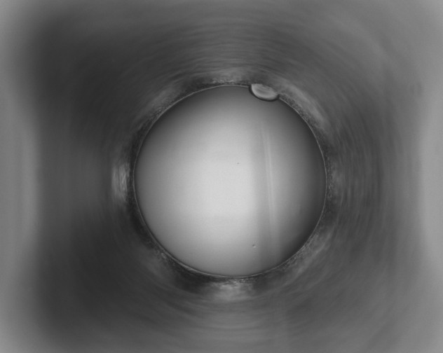 X0000102400118200808081312