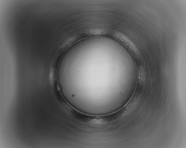 X0000102400119200808081312