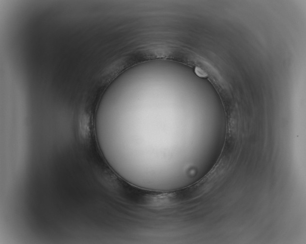 X0000102400122200808081312