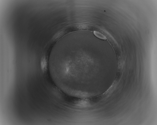 X0000102400124200808081312