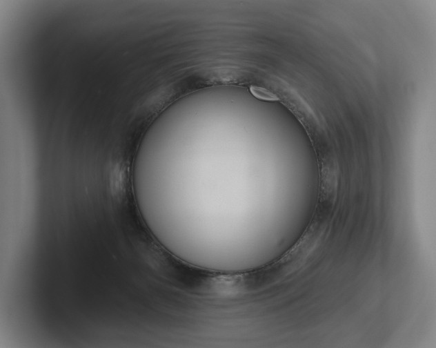 X0000102400126200808081312