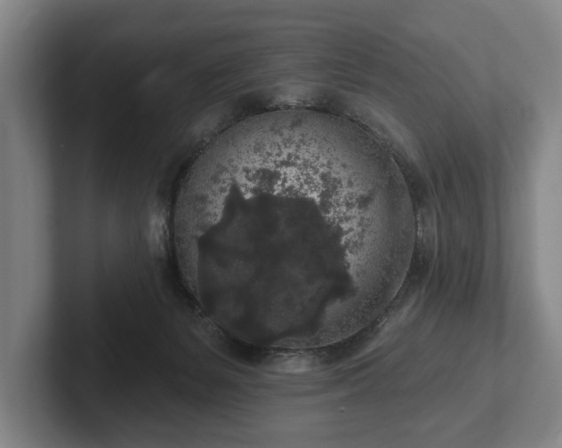 X0000102400127200808081312