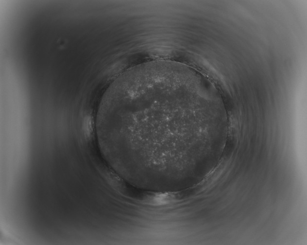 X0000102400130200808081312