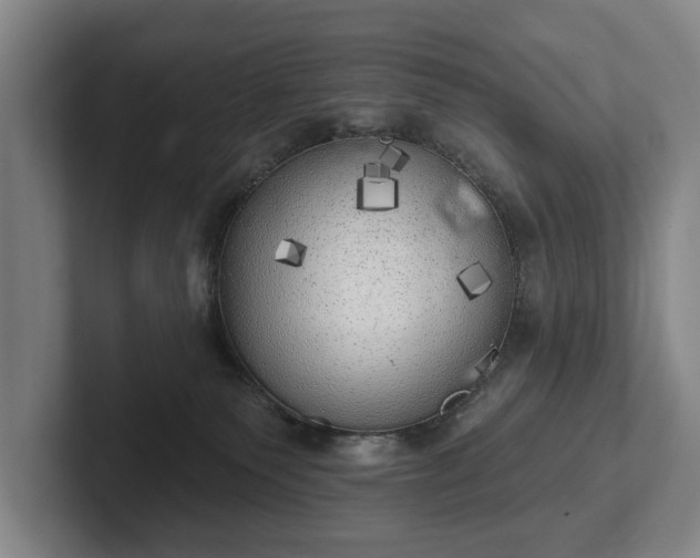 X0000102400135200808081312