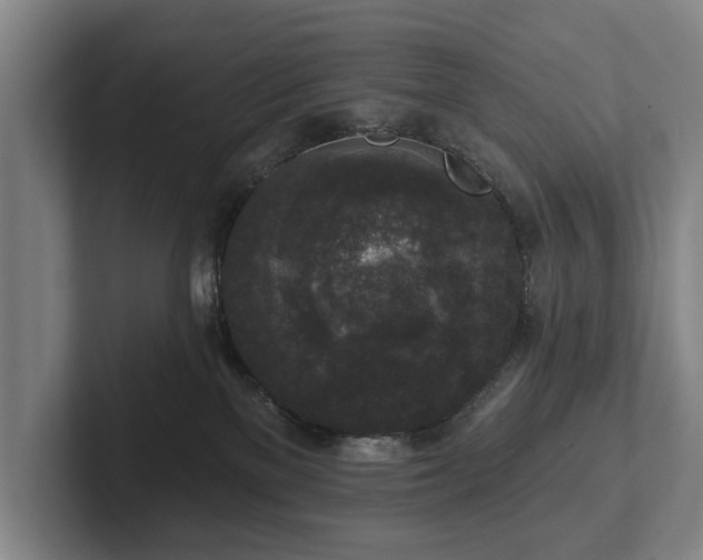 X0000102400137200808081312