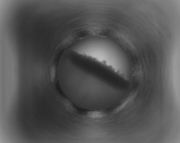 X0000102400139200808081312