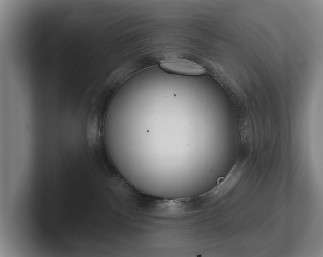 X0000102400140200808081312