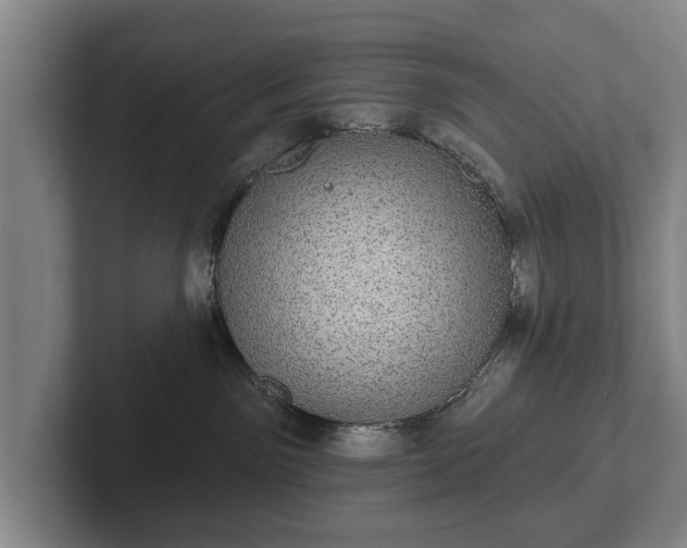 X0000102400141200808081312