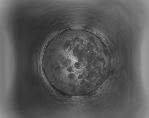 X0000102400145200808081311