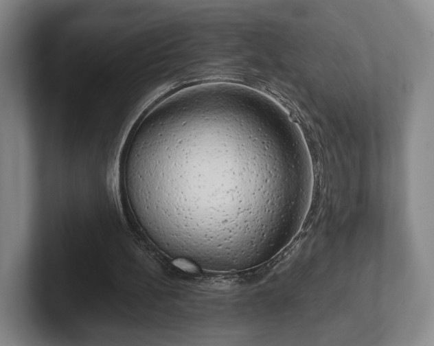 X0000102400148200808081311