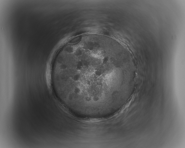 X0000102400149200808081311