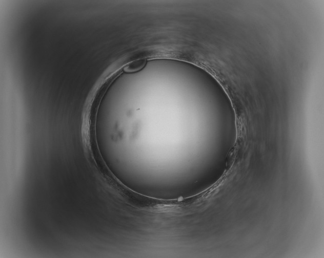 X0000102400150200808081311