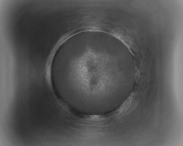 X0000102400151200808081311