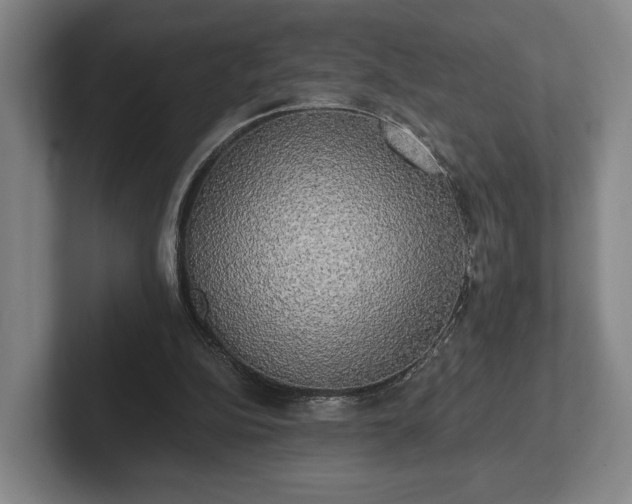 X0000102400152200808081311