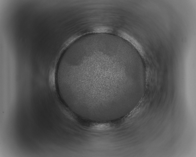 X0000102400155200808081311