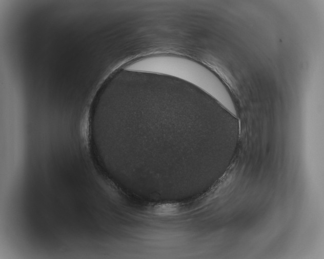 X0000102400156200808081311