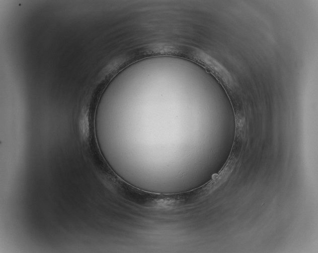 X0000102400158200808081311