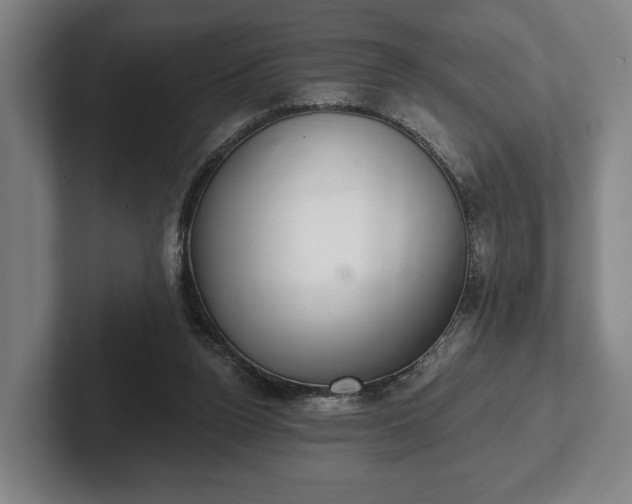 X0000102400160200808081311