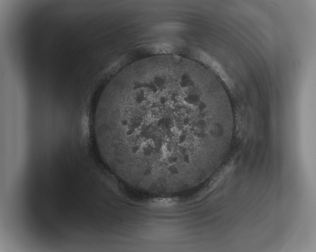 X0000102400161200808081311