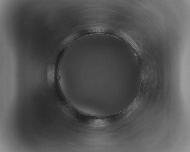 X0000102400163200808081311