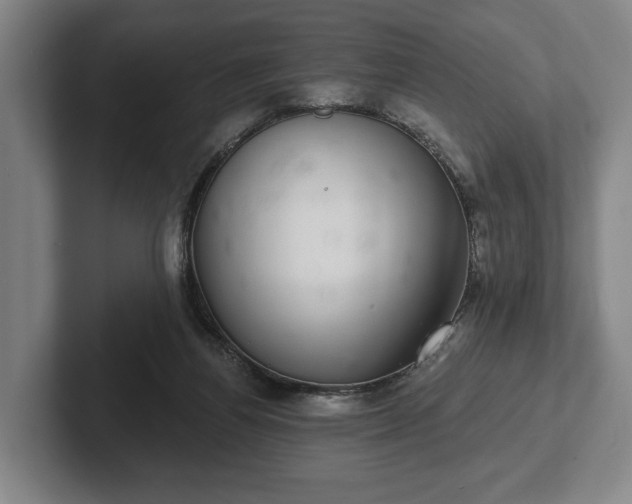 X0000102400164200808081311