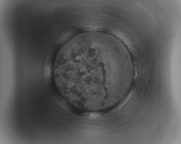 X0000102400165200808081311