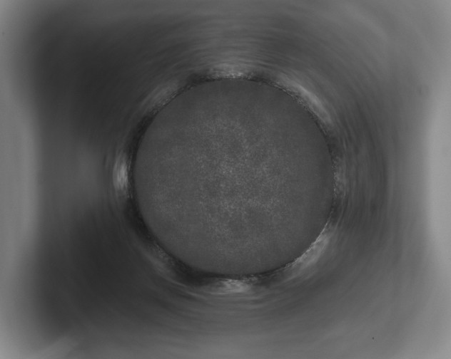 X0000102400166200808081311