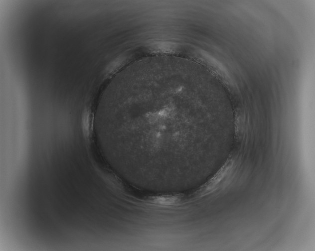 X0000102400168200808081311