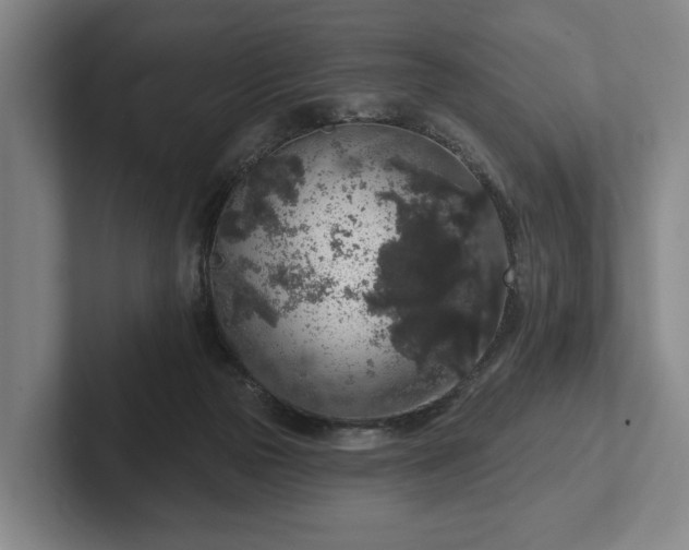 X0000102400169200808081311