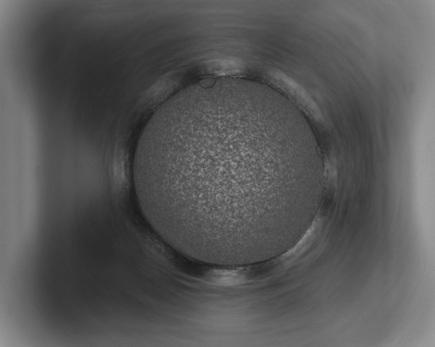 X0000102400170200808081311