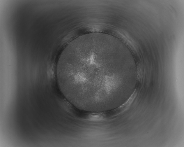 X0000102400175200808081312